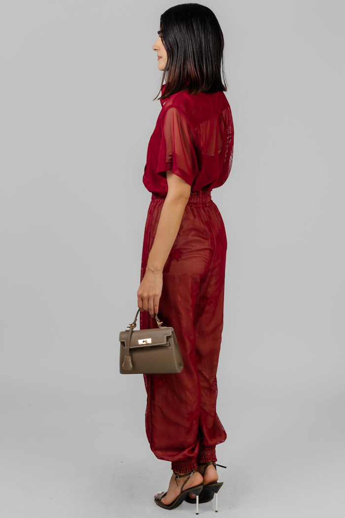 CONJUNTO DE RED PALMERAS