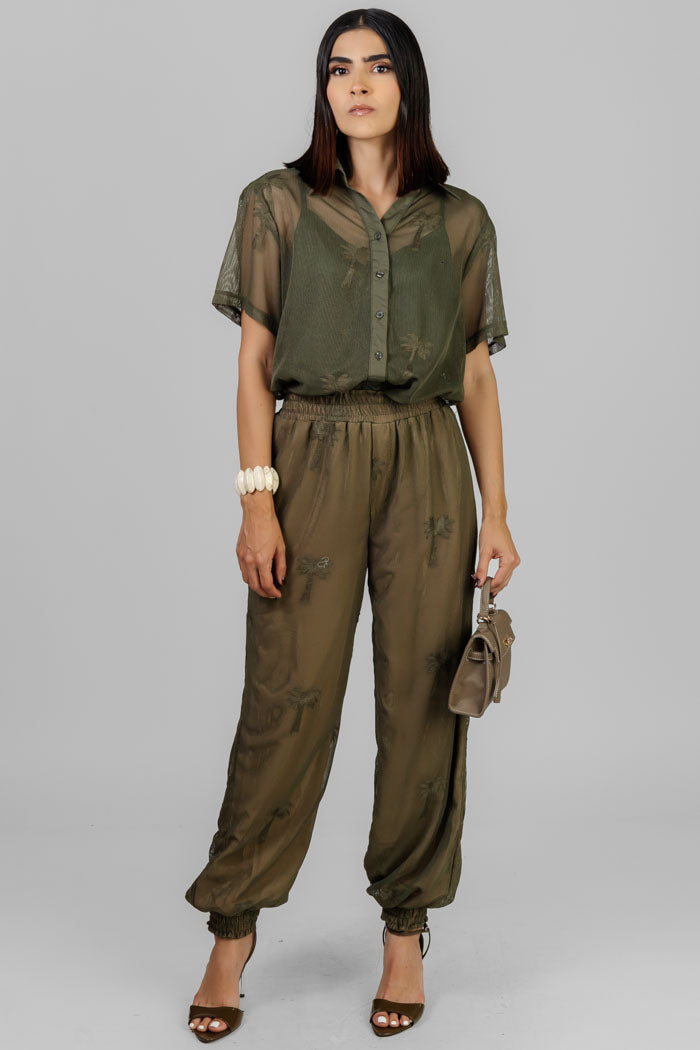 CONJUNTO DE RED PALMERAS