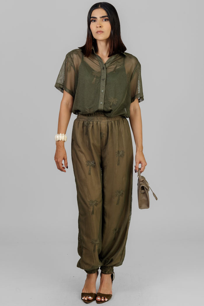 CONJUNTO DE RED PALMERAS