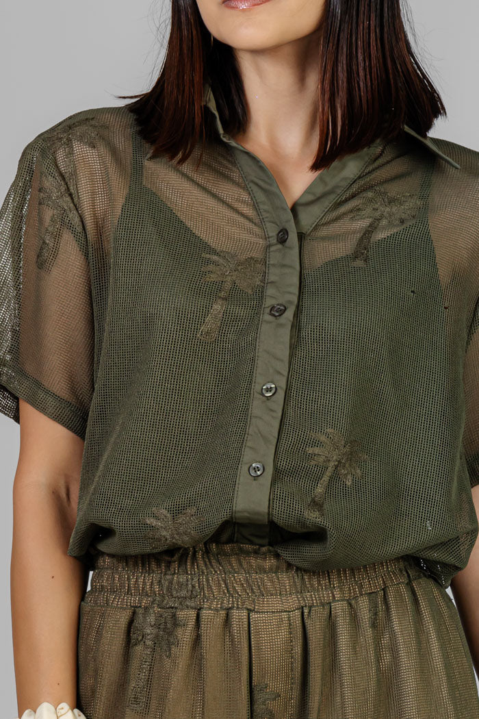 CONJUNTO DE RED PALMERAS