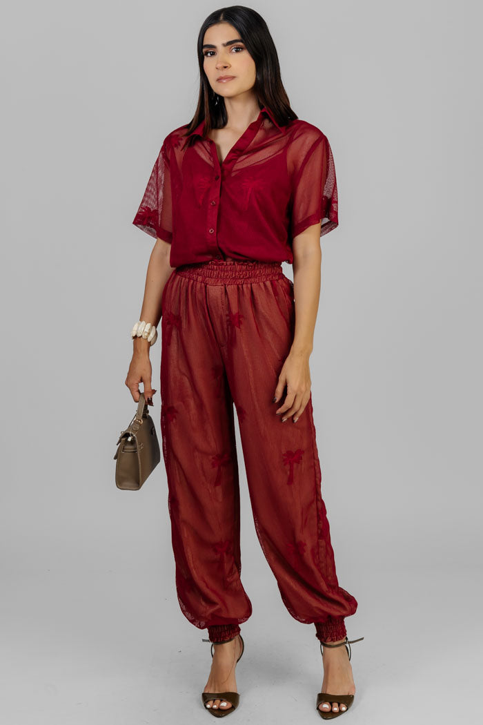 CONJUNTO DE RED PALMERAS
