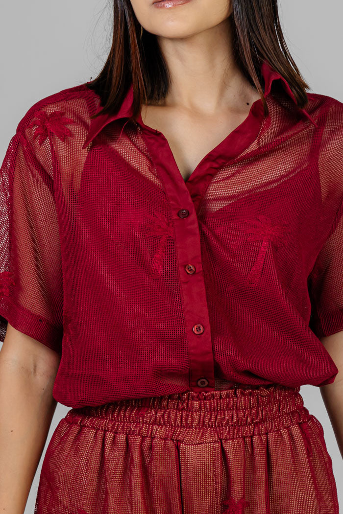 CONJUNTO DE RED PALMERAS