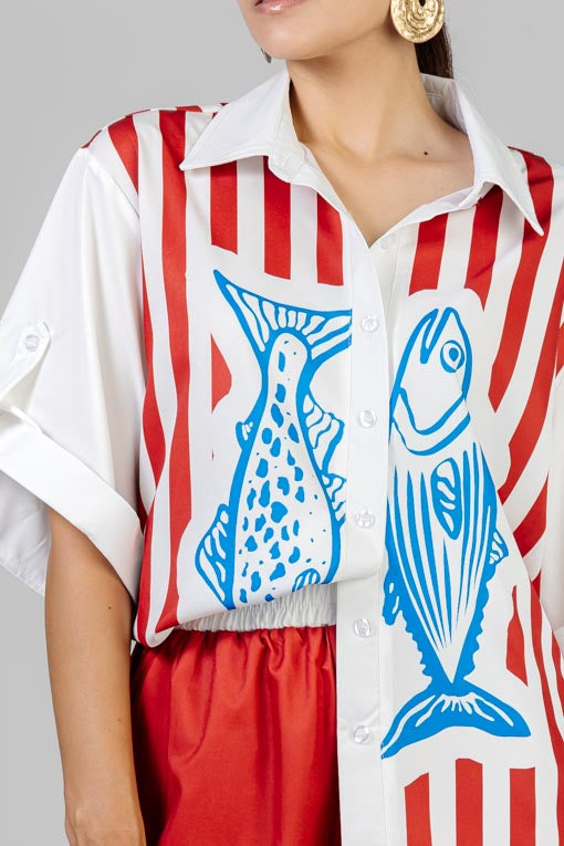 CONJUNTO RAYA Y PECES