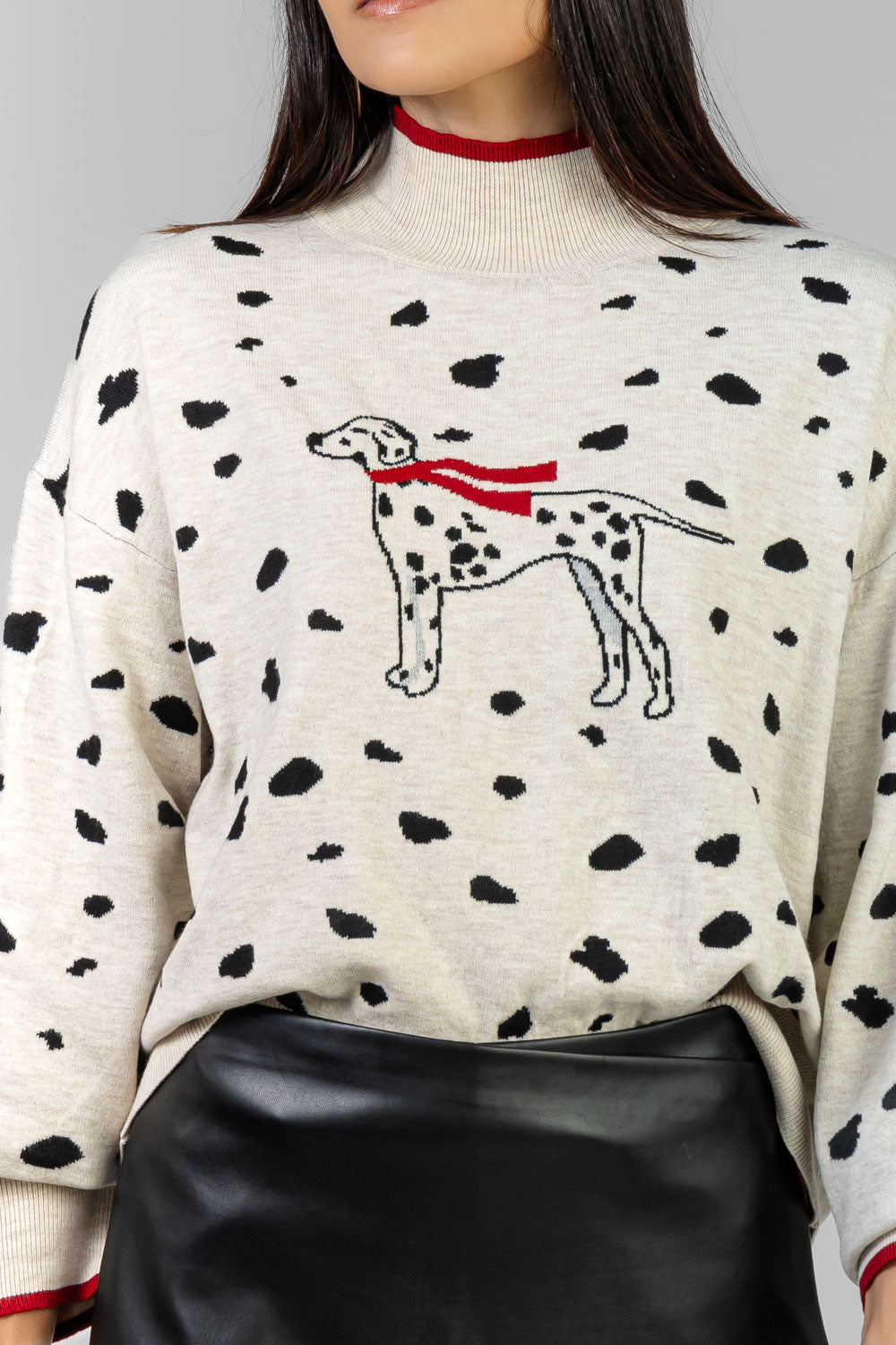 SUETÉR DALMATA